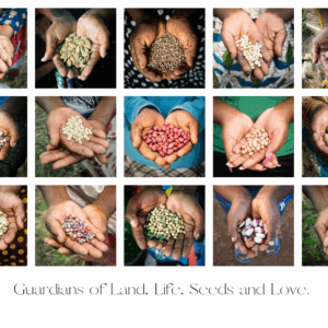 froer Jubileumsaffisch Fröer